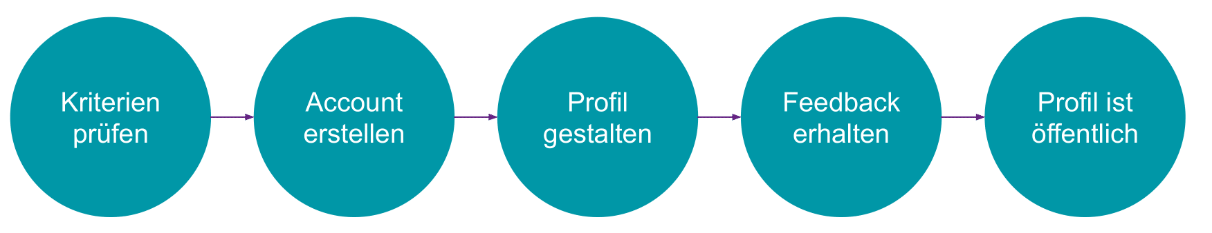 Kreisdiagramm mit der Beschreibung der fünf Schritte zum Expert*innenprofil