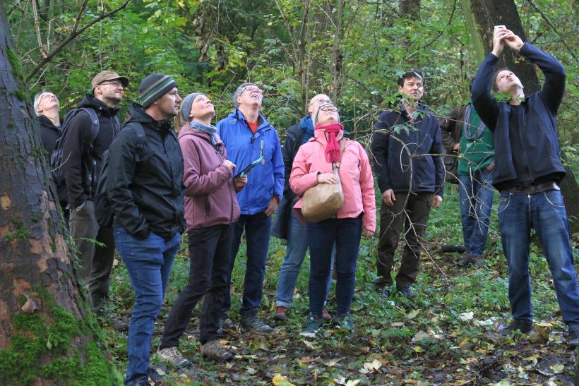 Im Wald. Mehrere Personen schauen nach oben, während sie etwas von einer anderen Person gezeigt bekommen.