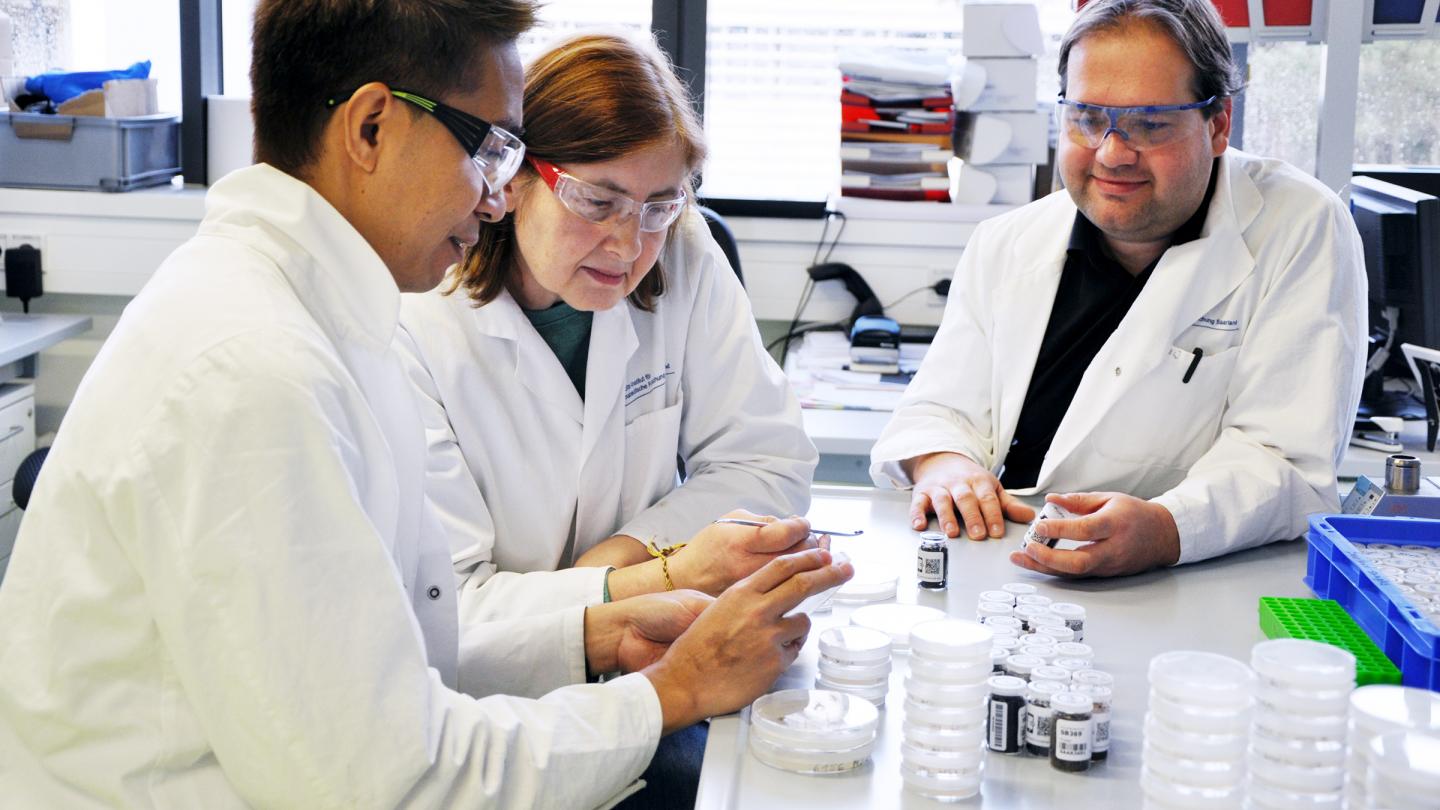 Die wissenschaftlichen Arbeiten mit den Erdproben aus dem Projekt „Sample das Saarland“ finden in den Laboren der Abteilung Mikrobielle Naturstoffe von Prof. Rolf Müller am Helmholtz-Institut für Pharmazeutische Forschung Saarland (HIPS) in Saarbrücken statt. Im Bild: Dr. Ronald Garcia, Irene Kochems, Dr. Daniel Krug.