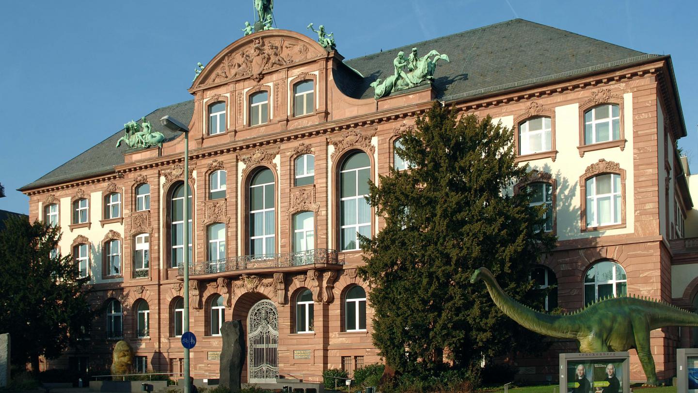 ©Senckenberg