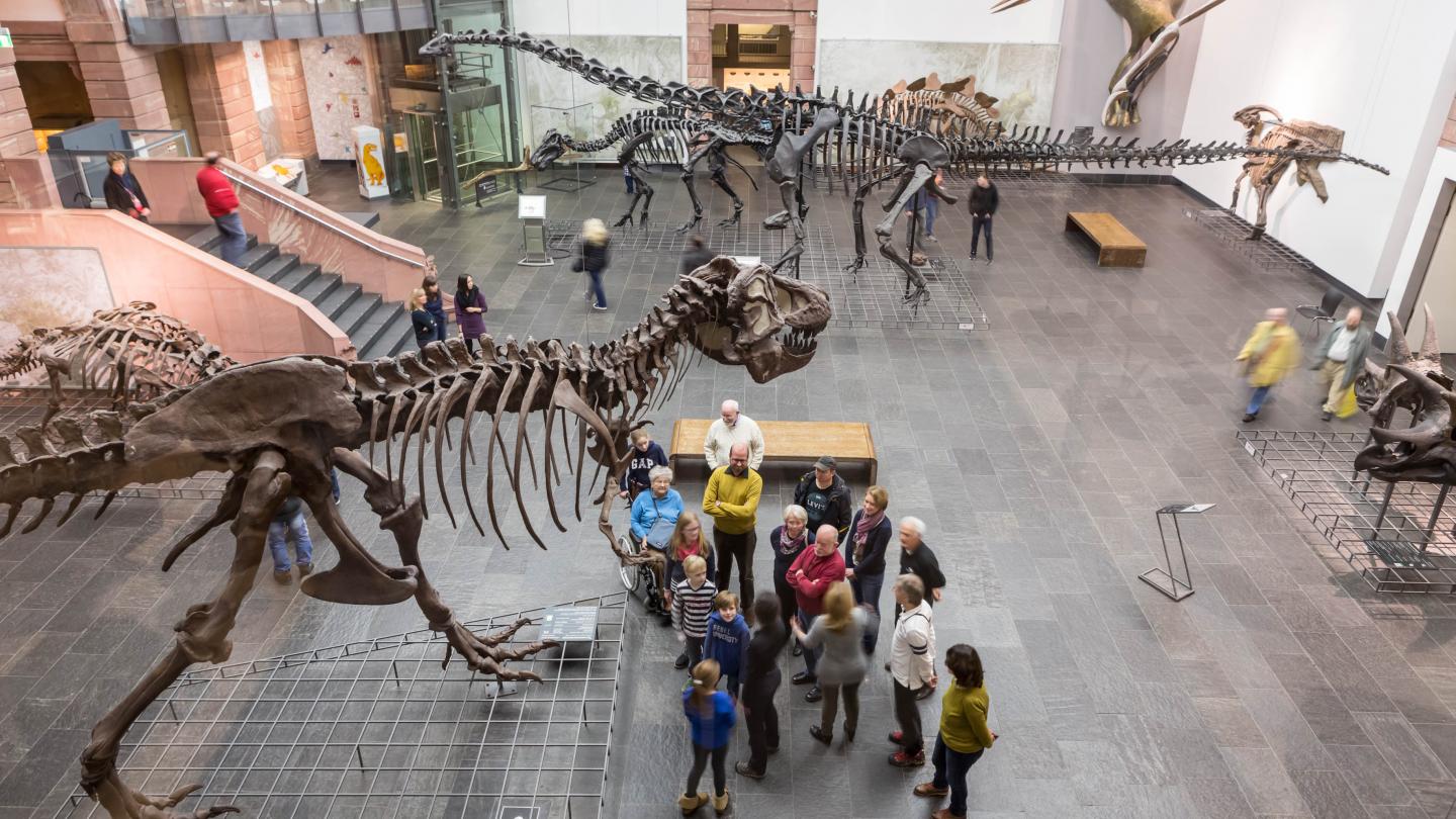 ©Senckenberg Senckenberg Naturmuseum Frankfurt (Main)
