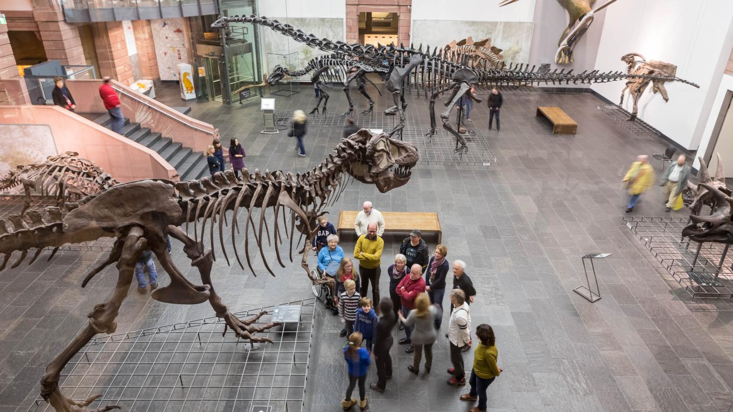 Senckenberg Naturmuseum Frankfurt (Main)