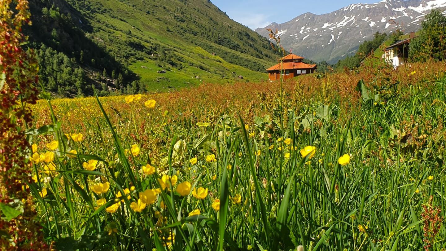 Obergurgl, Österreich