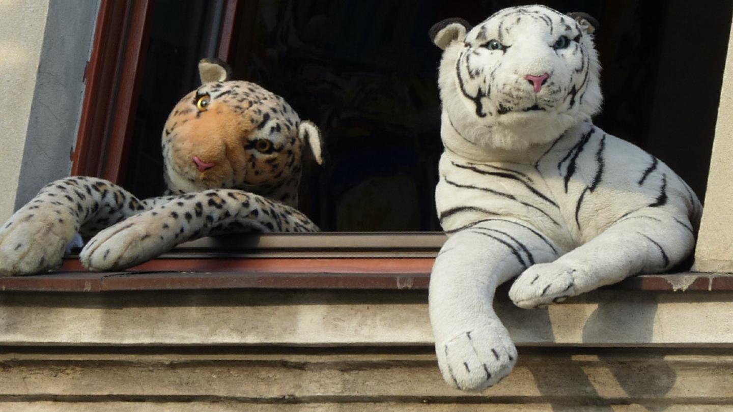 Leopard und Tiger, zwei Plüschtiere nebeneinander