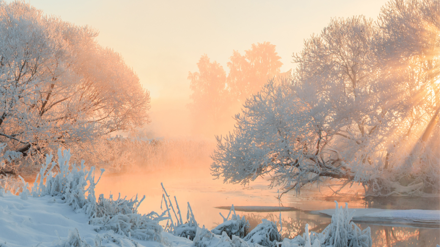 Foto: Alex Ugalek / Canva / Getty Images