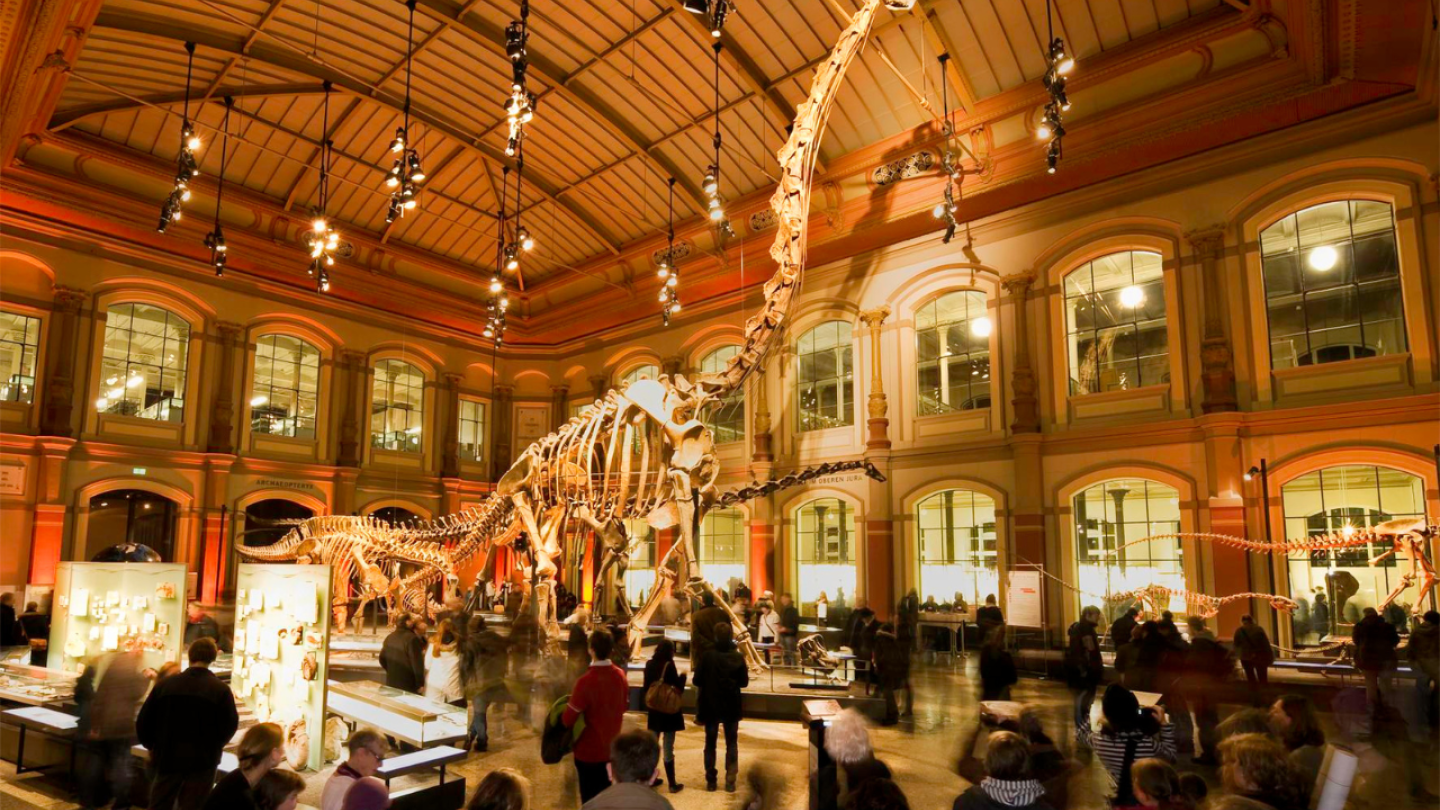 Foto: A. Dittmann / MfN Berlin Blick in den Dinosauriersaal des MfN Berlin
