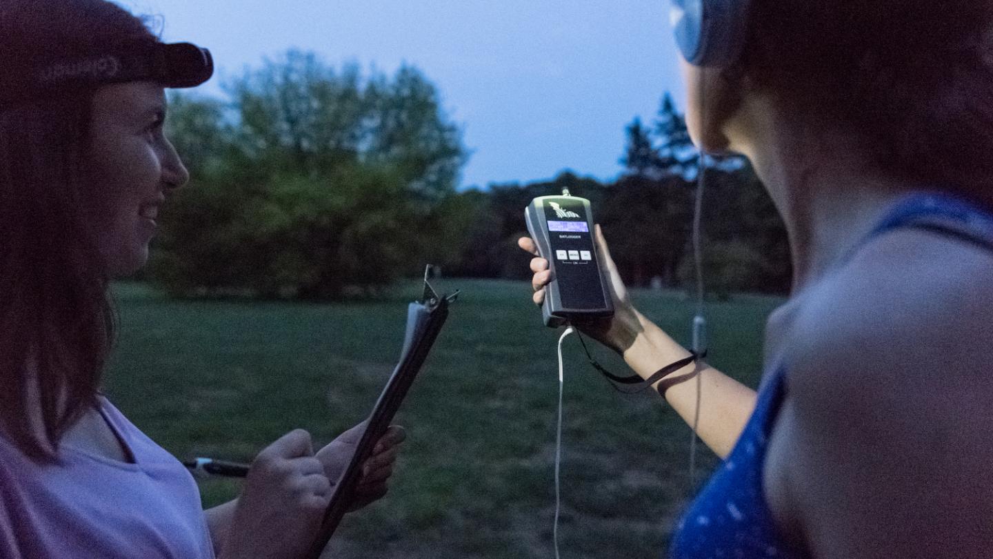 Aufnehmen von Fledermausrufen mithilfe eines Detektors (Foto: Christof Häberle)