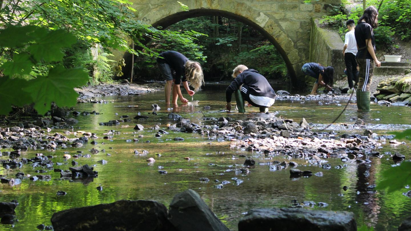 Eine FLOW-Projektgruppe im Einsatz an der Prießnitz/Sachsen.© Julia v. Gönner