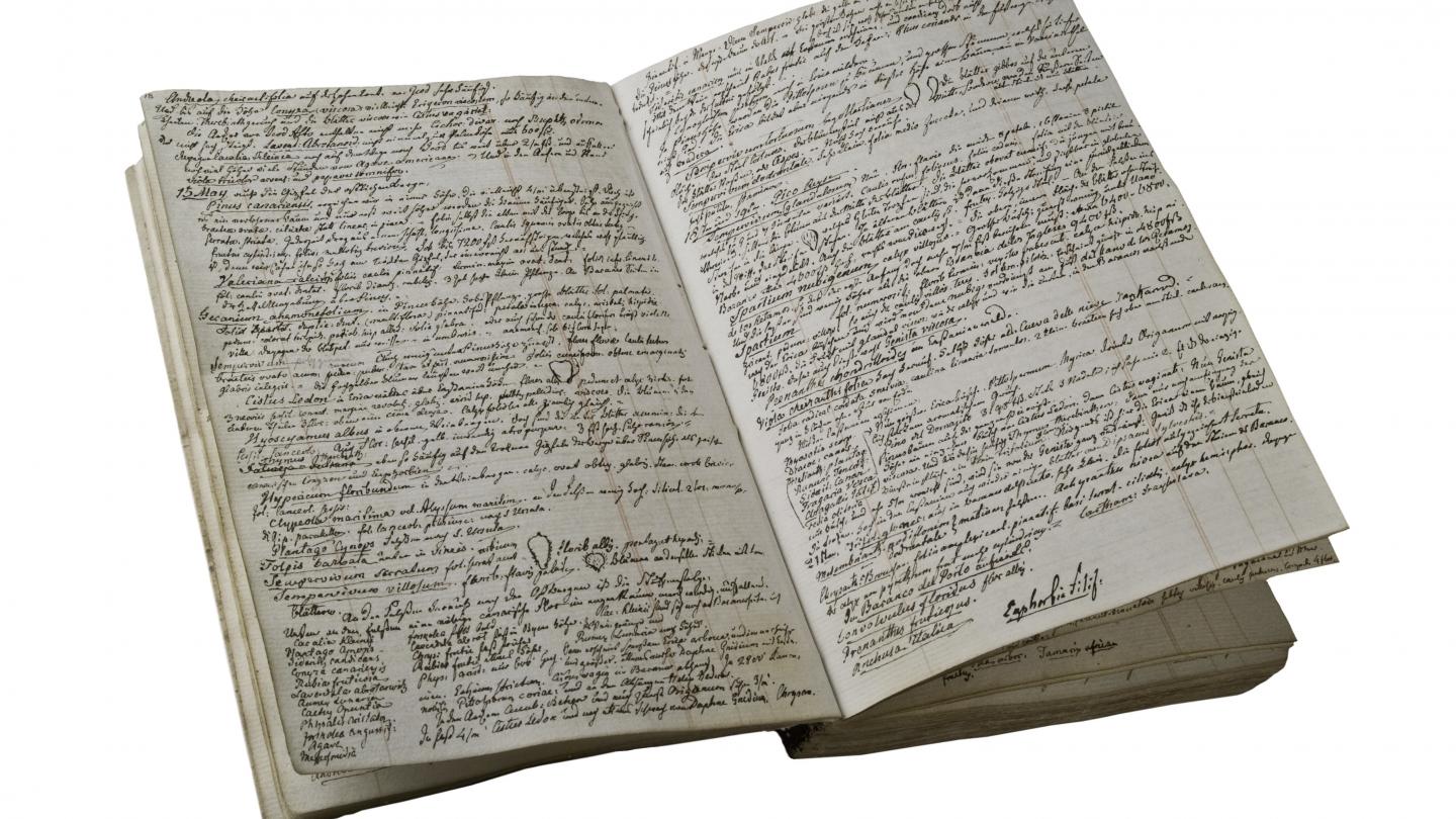 Historisches Feldtagebuch aus dem Museum für Naturkunde Berlin, Foto: Hwa Ja Götz, MfN