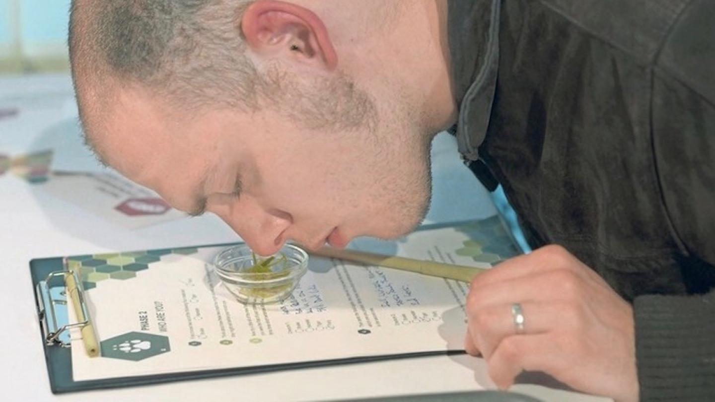 Teilnehmer der Ausstellung "Schmeck! Experimente für die Sinne" © Schmeck!
