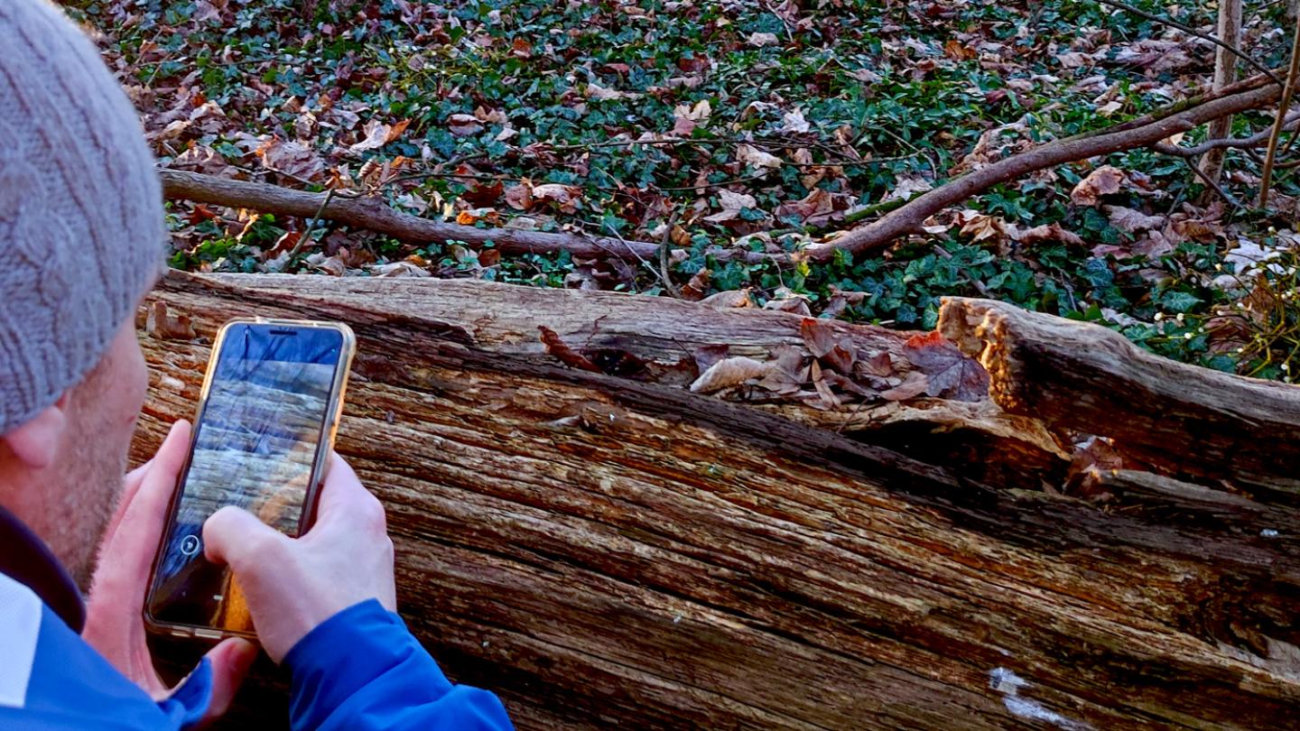 Landschaft mit Handy (cc share alike)