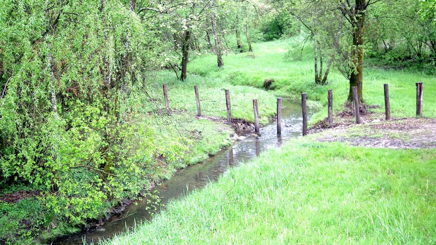 Foto: Wiebke Hebermehl; Naturschutzgebiet Waldhägenich