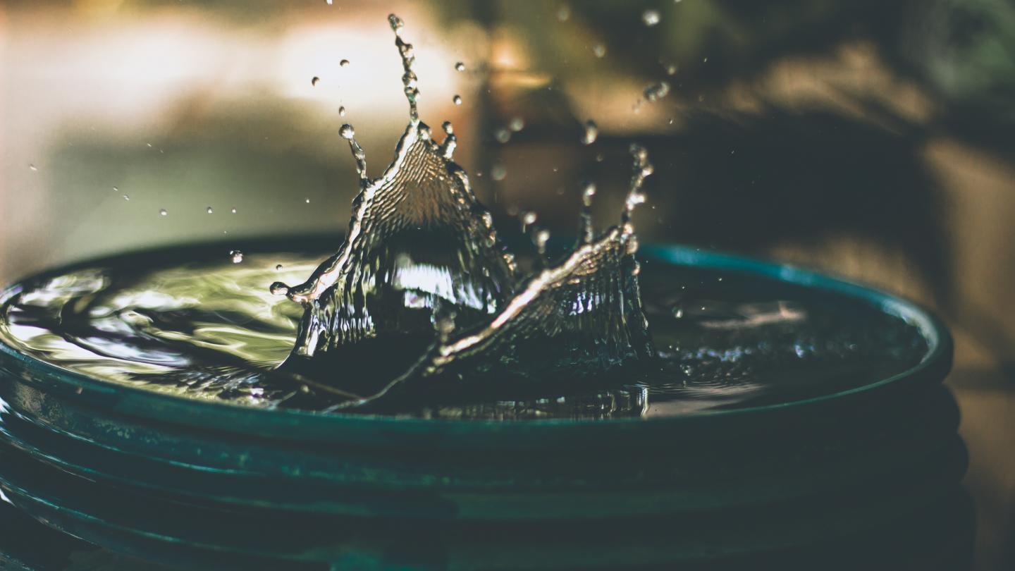 Amritanshu Sikdar via Unsplash