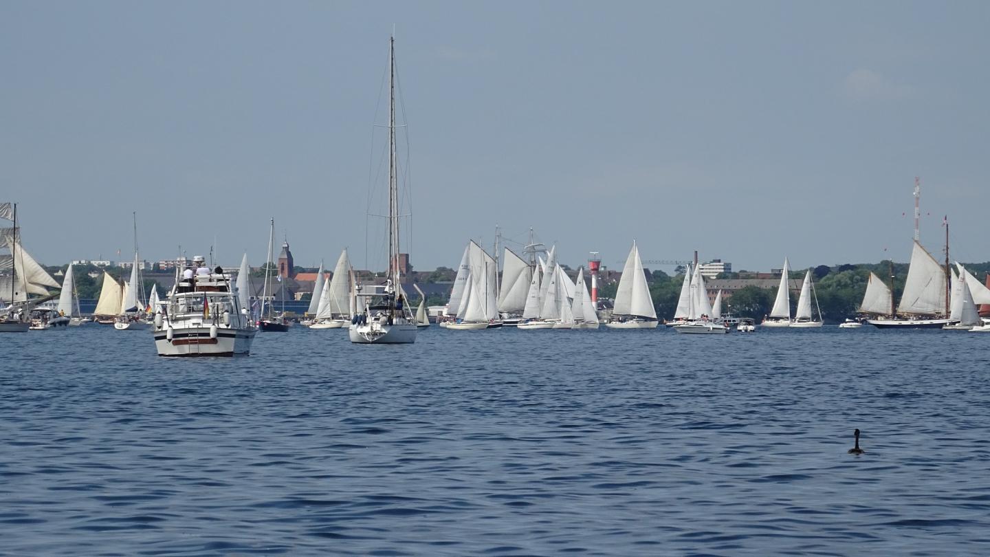Segelschiffe auf der Ostsee - jedes von ihnen kann zu einer Messplattform werden. Quelle: Silke Böttcher, GEOMAR
