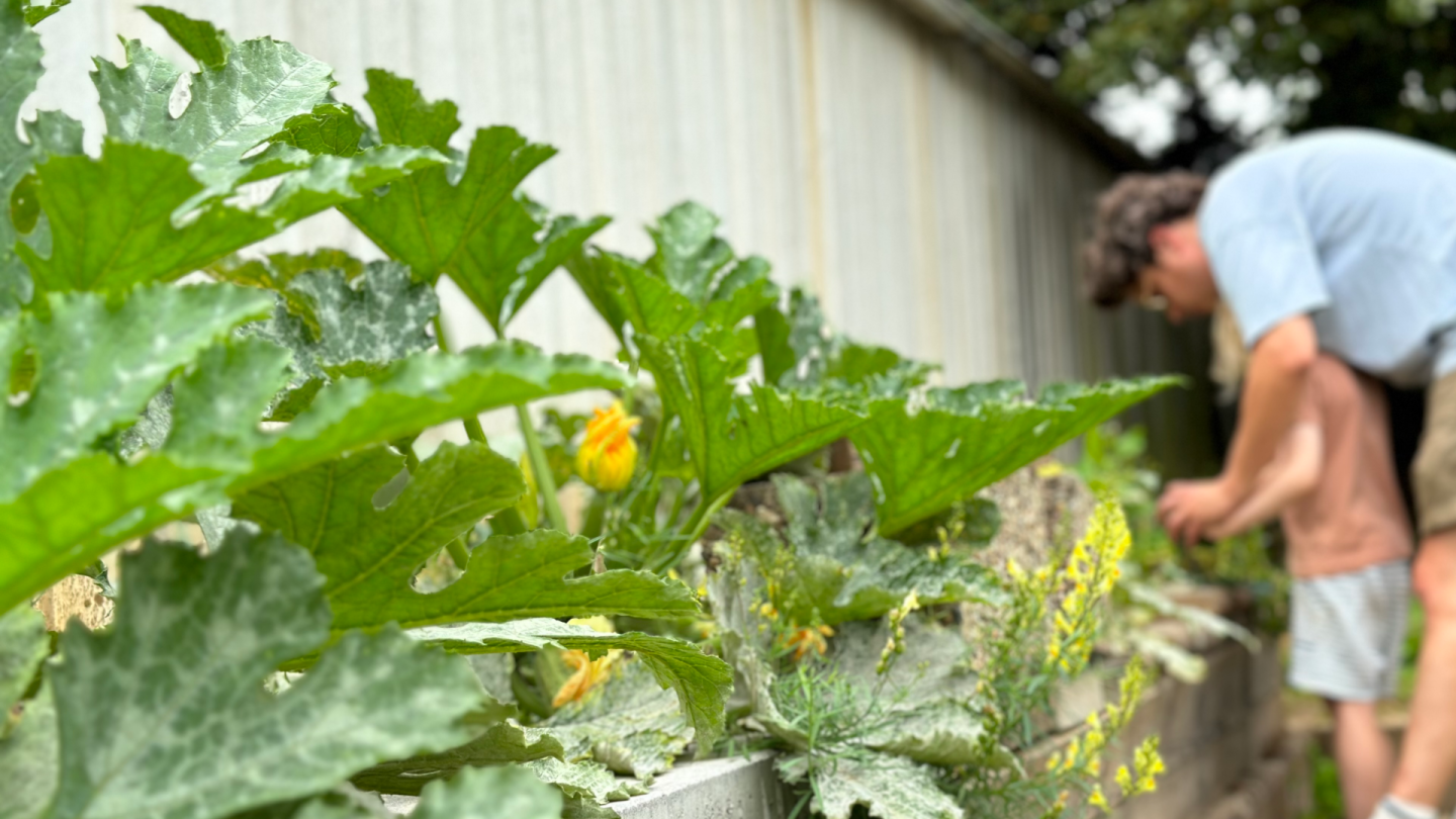 KLUGER Citizen Science