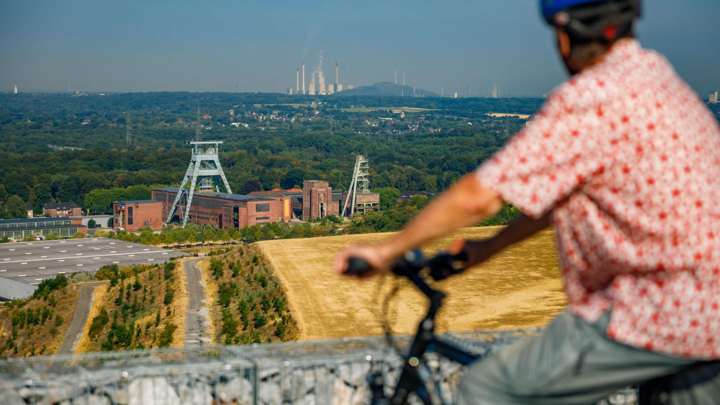 Blick von der Halde Hoheward in Herten. © THGA / Wiciok