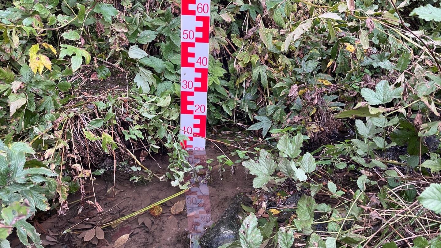 Messlatte zur Wasserstandsmessung an der Isweide (Foto: Korinna Schmitz)