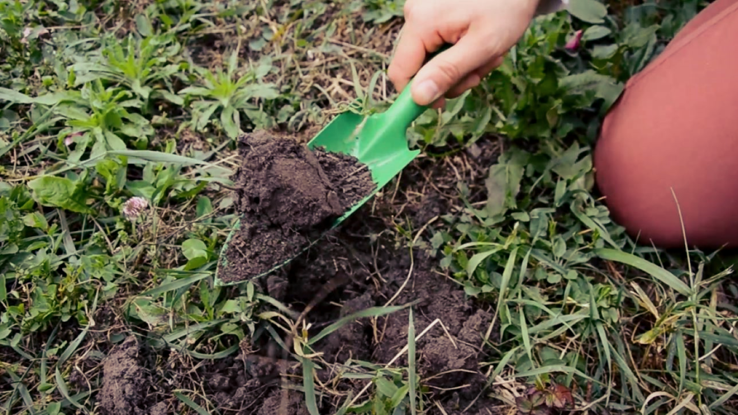 Ein Mitglied des Projekts testet den Bodenproben-Kit (Foto: Maximilian Stahl)