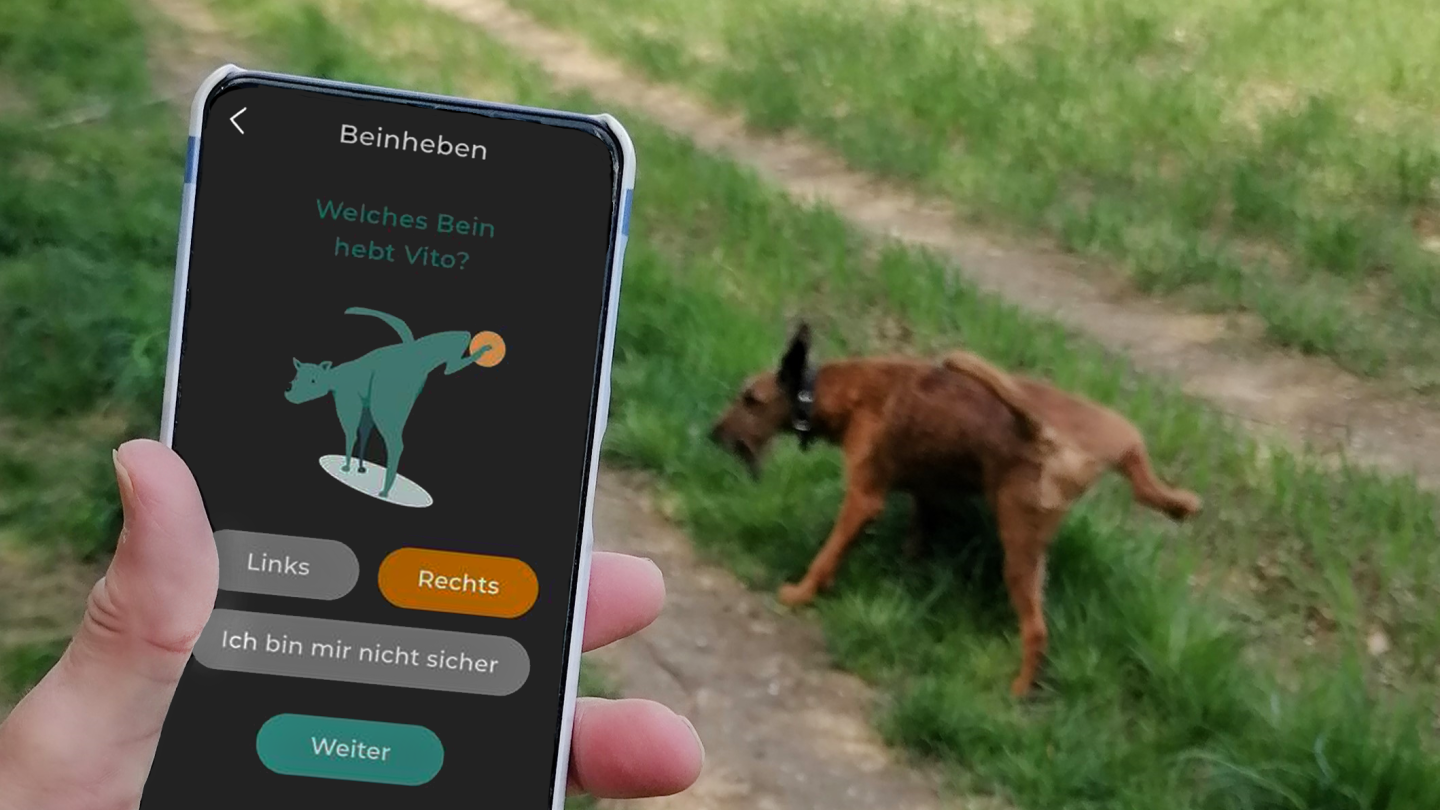 Mit der WAU-App können Bürger*innen das Verhalten ihrer Hunde dokumentieren und so zur Forschung von Persönlichkeit und Wohlergehen beitragen. Copyright: Abteilung für Verhaltensbiologie, Universität Münster